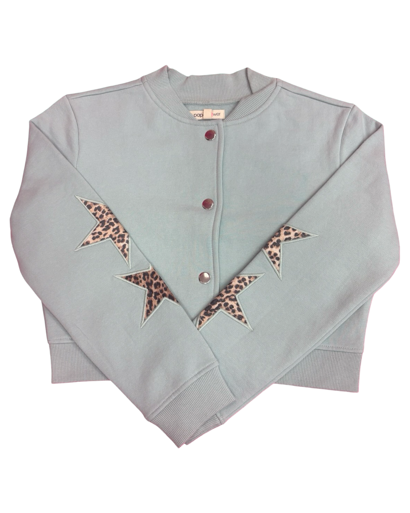 Blue Velvet Animal Print Star Bomber